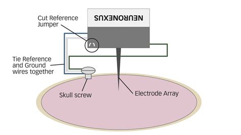 wiring a probe